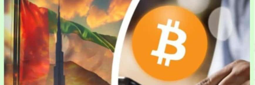 crypto memes 24 banner