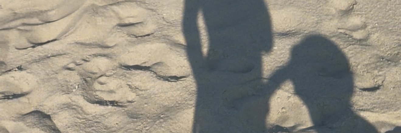 Splish Splashh 💦 banner