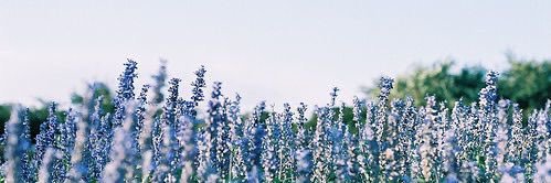 Gemma_Hopkins's profile banner image