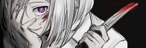 zodie banner