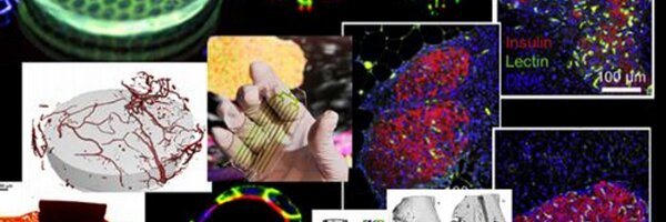 GarciaLabGT Profile Banner