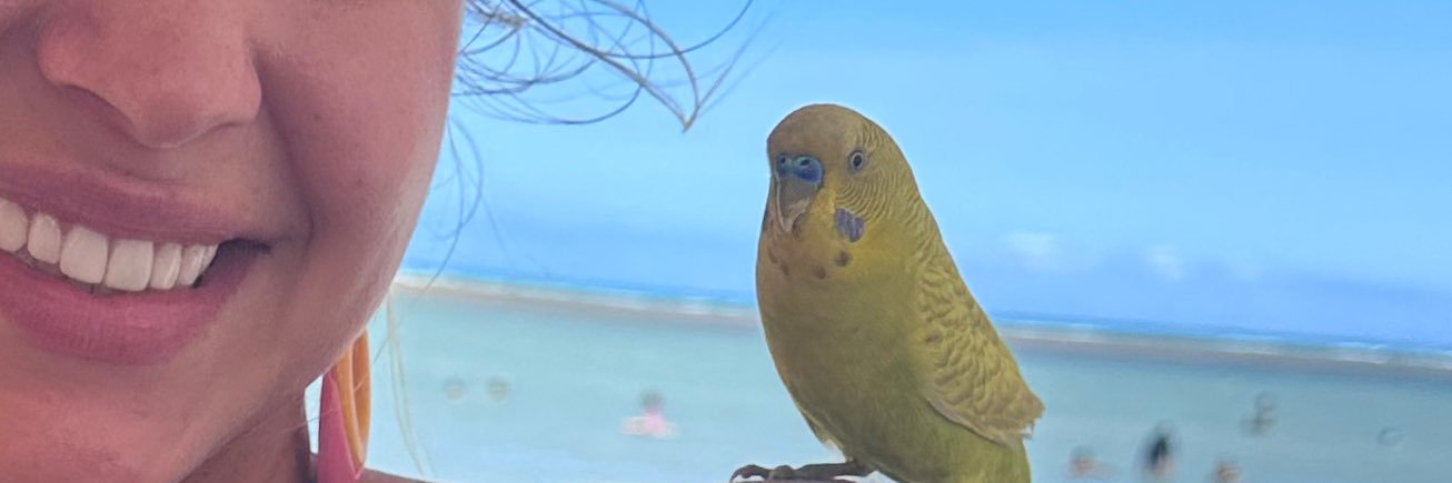 renatener's profile banner image