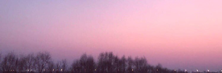🌸's banner