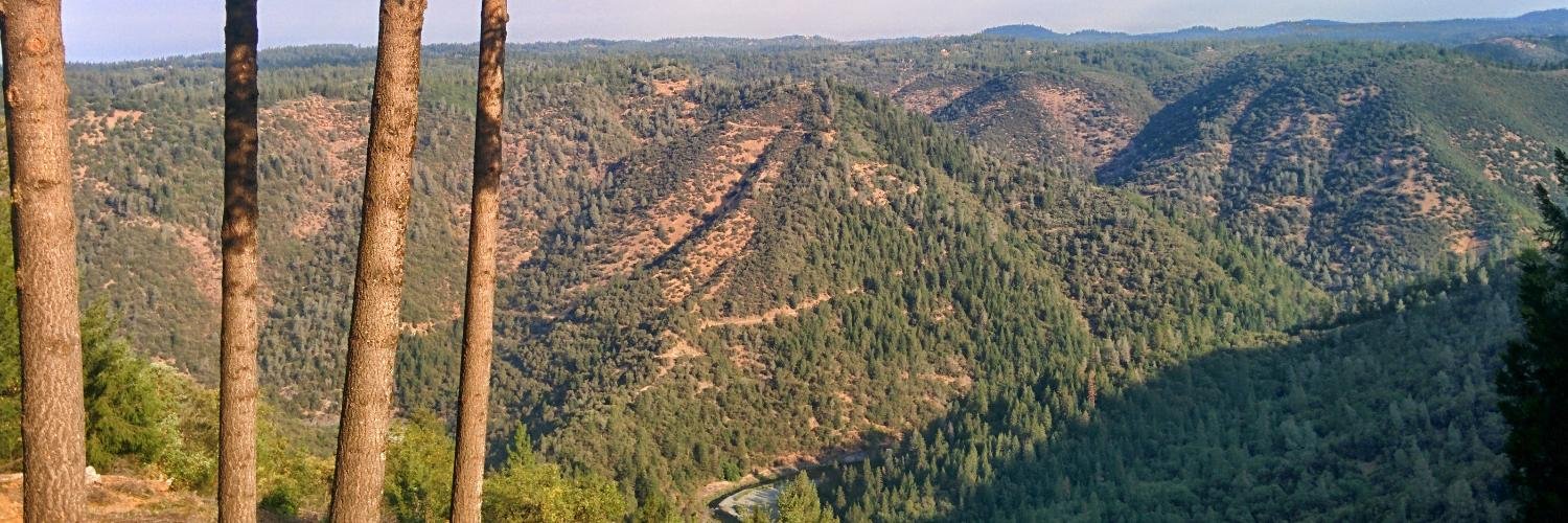 Jared Amalong banner