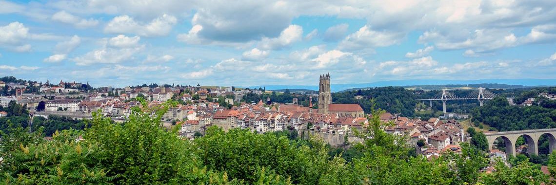 Timur Ashirov, Ph.D. banner