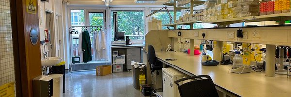 JennyRohn Profile Banner