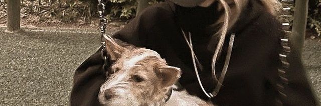 J banner