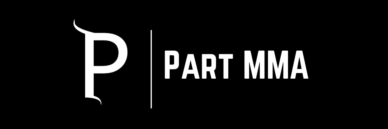 PartMMA's profile banner image