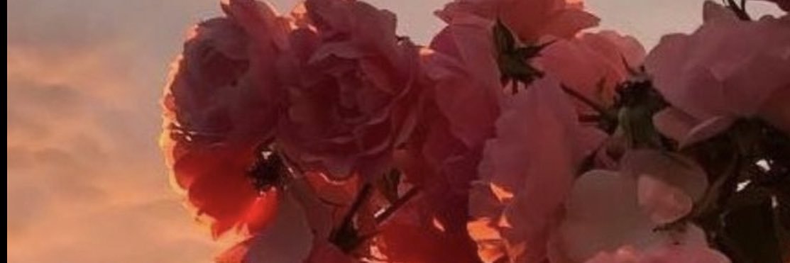imaneMini3700's profile banner image