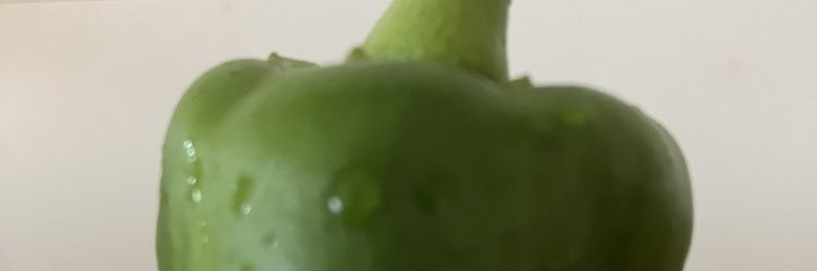 fukuisalion's profile banner image