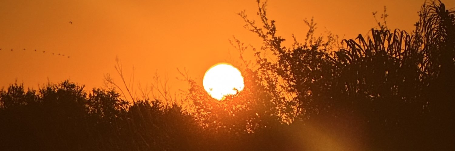 𝐏𝐚𝐭𝐫𝐢𝐜𝐢𝐚 𝐂𝐚𝐫𝐦𝐚𝐠𝐧𝐨𝐥𝐚 banner