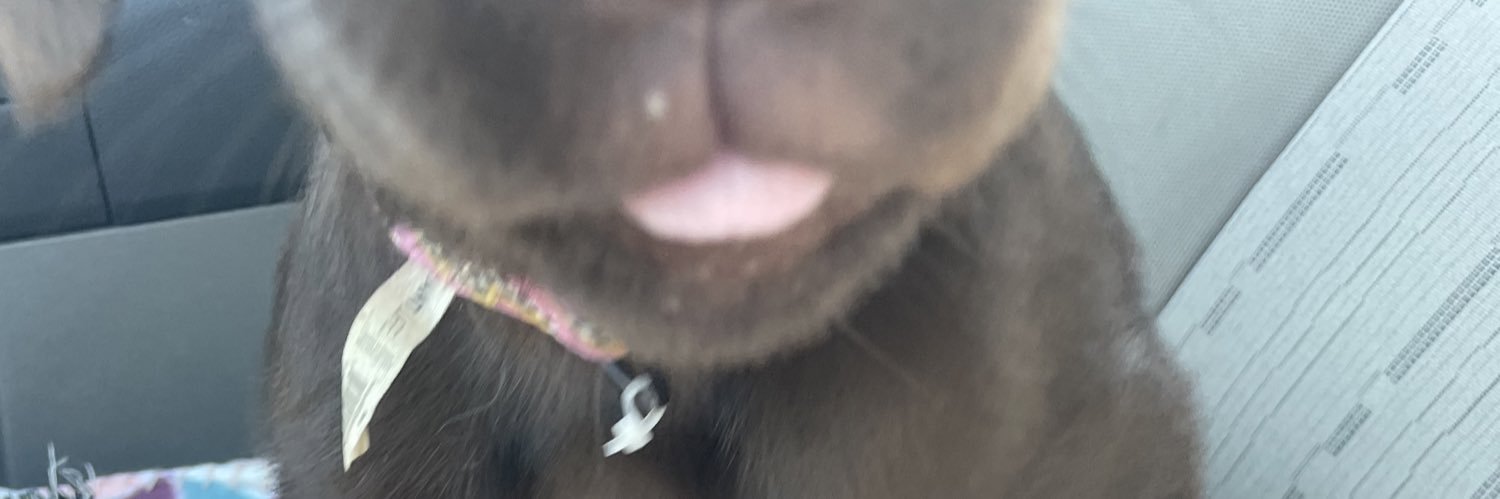 casarole22's profile banner image