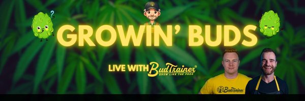 theBudTrainer Profile Banner