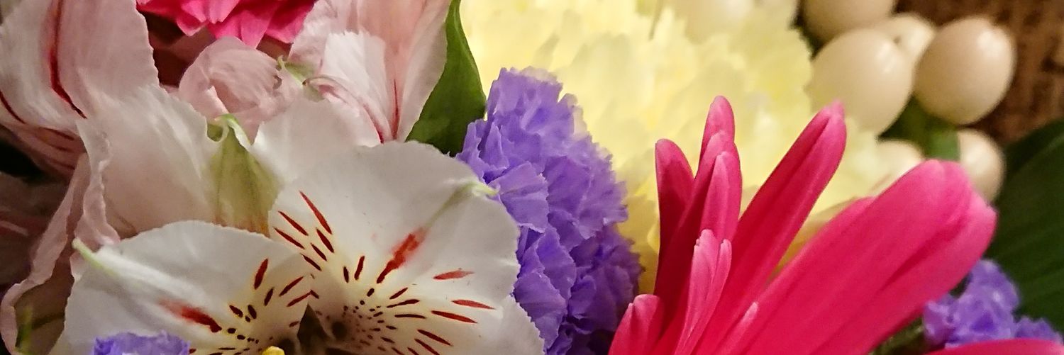 BchFt's profile banner image