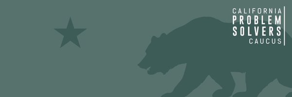 CAProblemSolver Profile Banner
