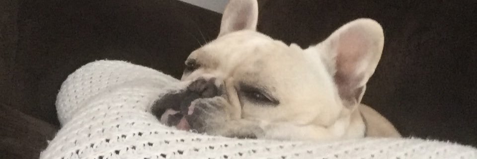 MisiaPiet's profile banner image