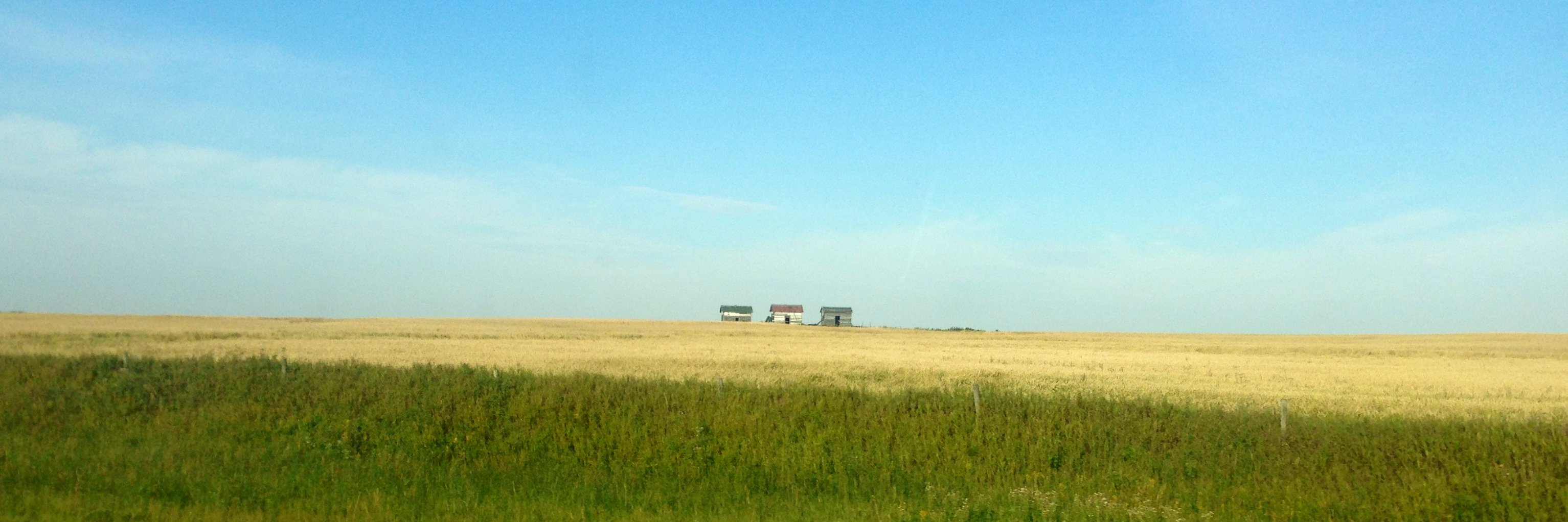 Natacha Hogan banner