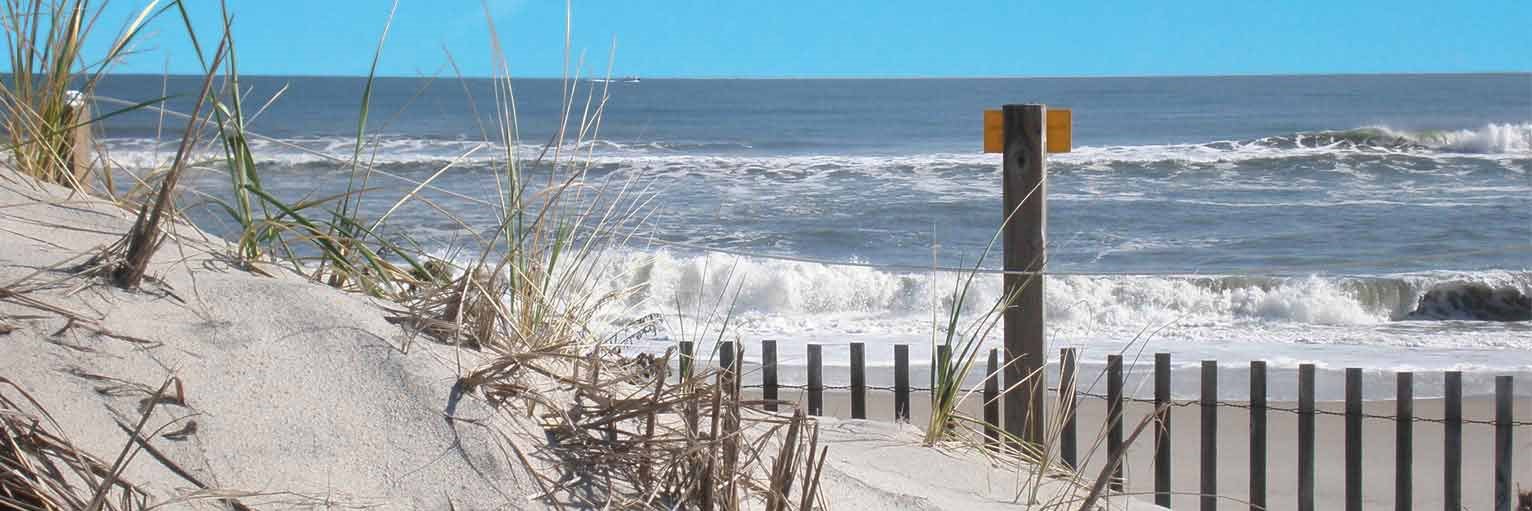 Michelle Doyle banner