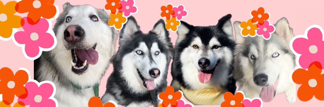 ashvnaa_'s profile banner image