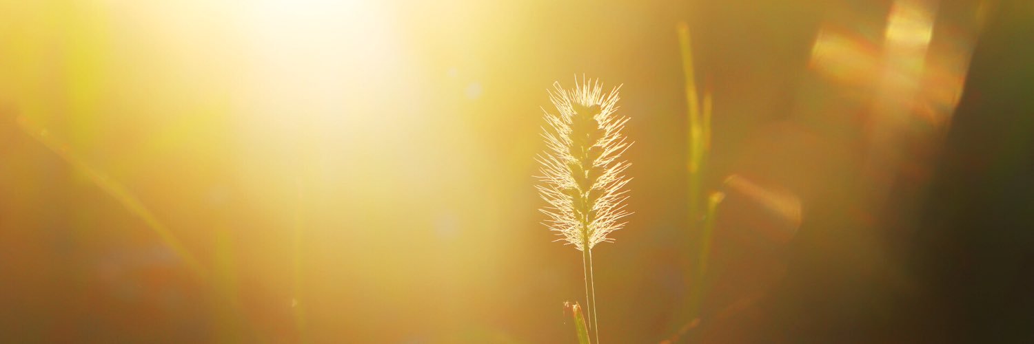 jacafaltraids's profile banner image