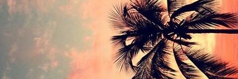 Yelbaa22's profile banner image
