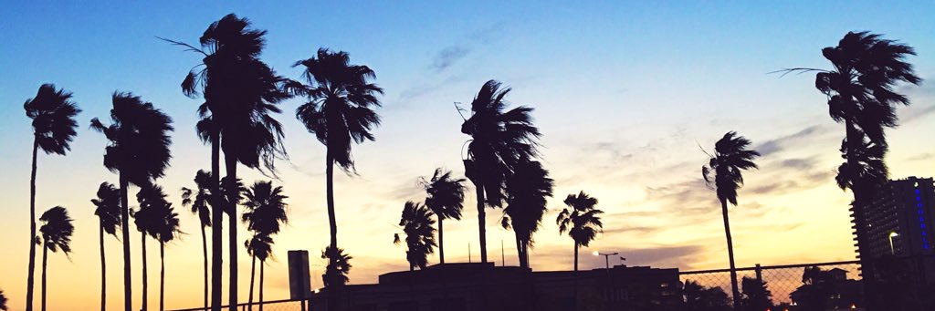 allisonduffin's profile banner image