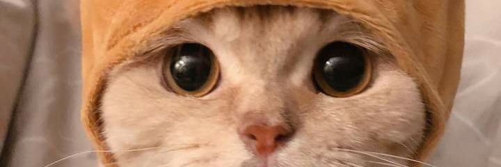 GenMoranta's profile banner image