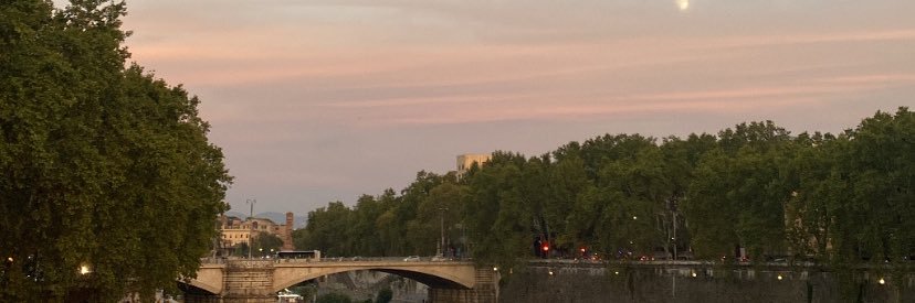 federica_andreo's profile banner image