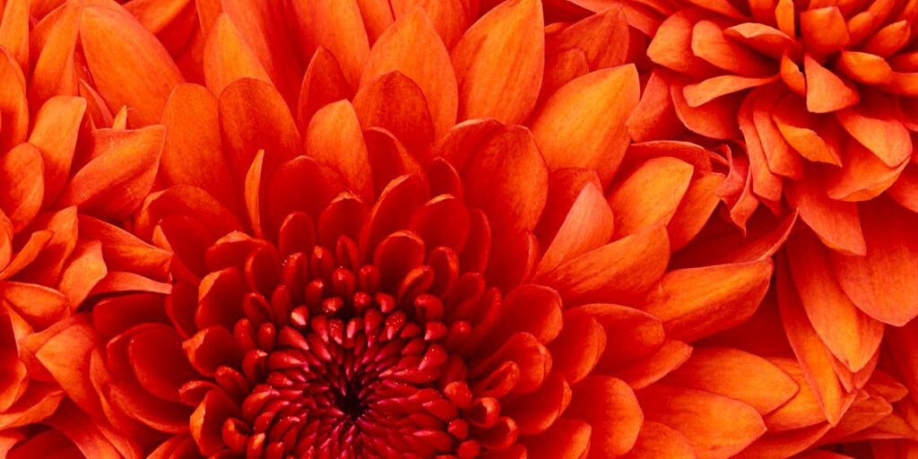 Sara_S_Sanders's profile banner image