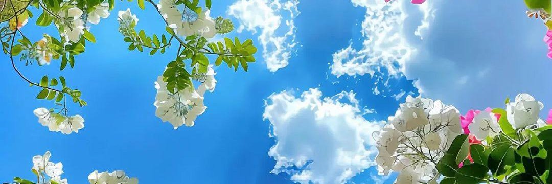 GSFNetwork's profile banner image