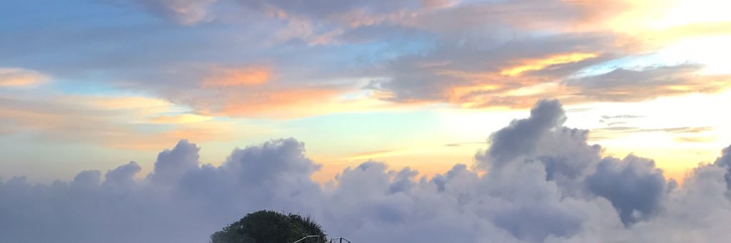 peytonfedler's profile banner image