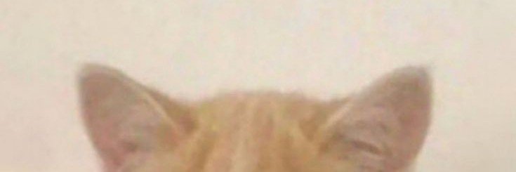 tazueo's profile banner image