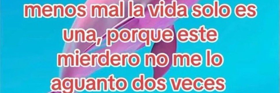 • Ximena • banner