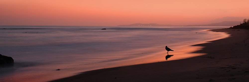Acratech's profile banner image
