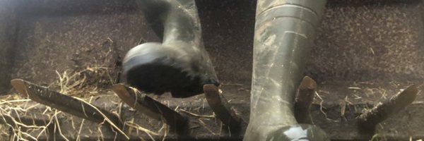 Farmersam2021 Profile Banner