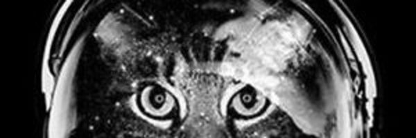 BigV47983505 Profile Banner
