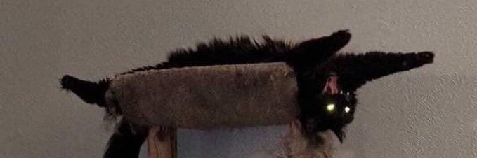 t banner