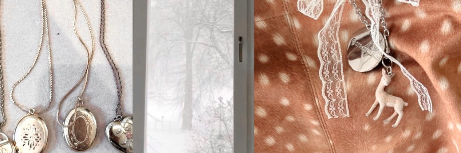 hayley banner