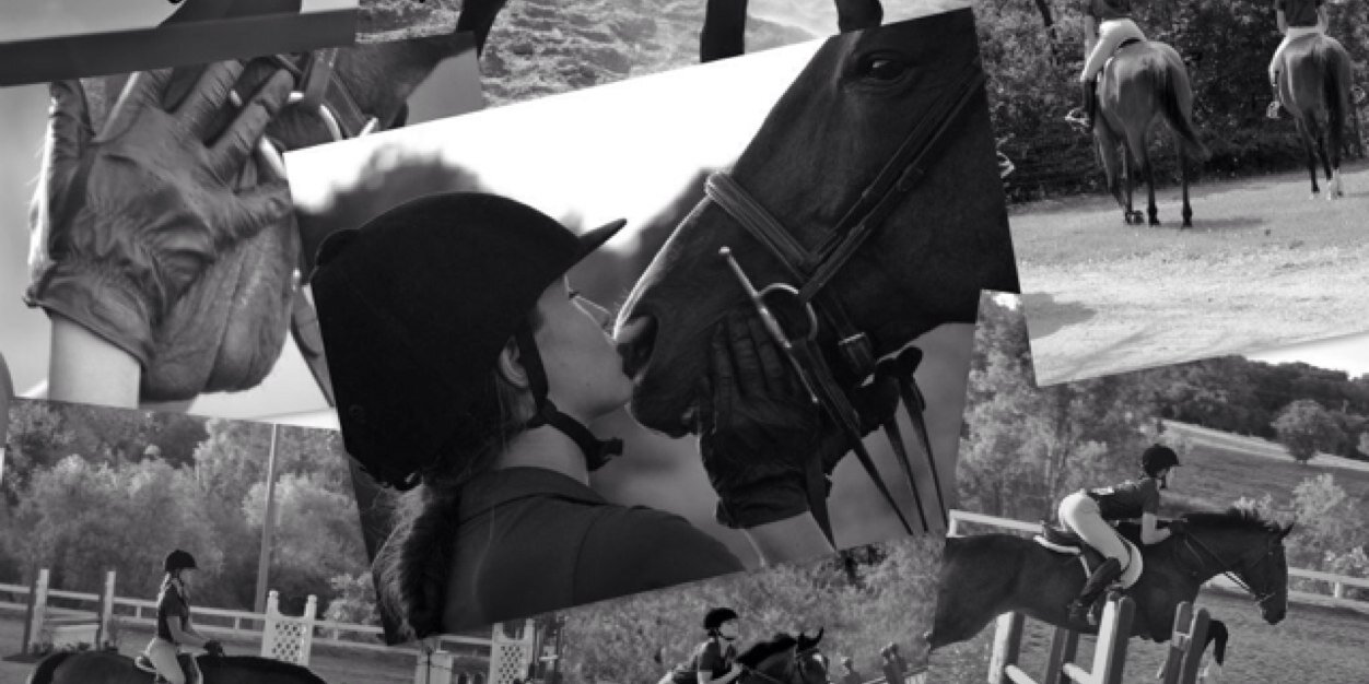 _DownByTheBay_'s profile banner image