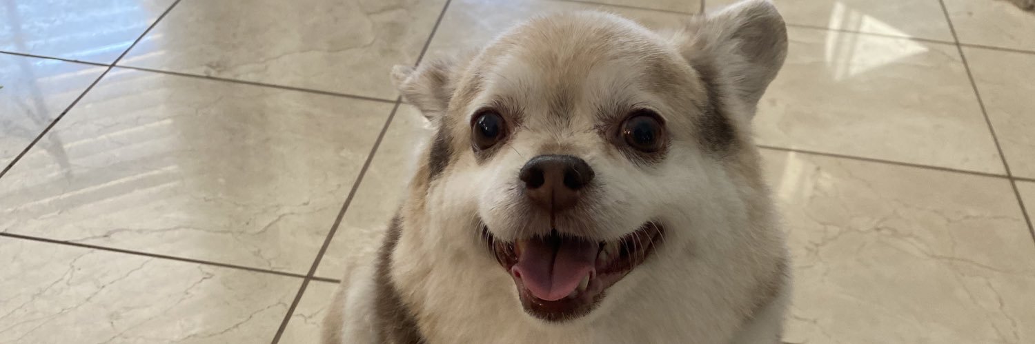 lizzyymartini's profile banner image
