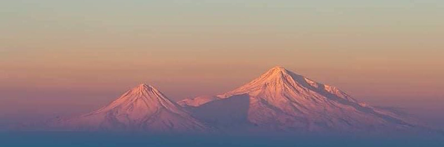 mina 🇦🇲🐅ꕤ｡˚⋆ banner