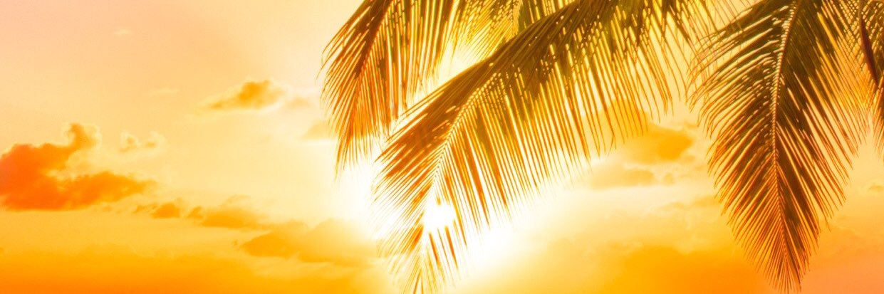 freedom_perla's profile banner image