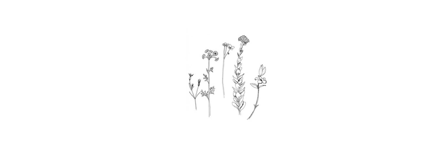 lyssamay3's profile banner image