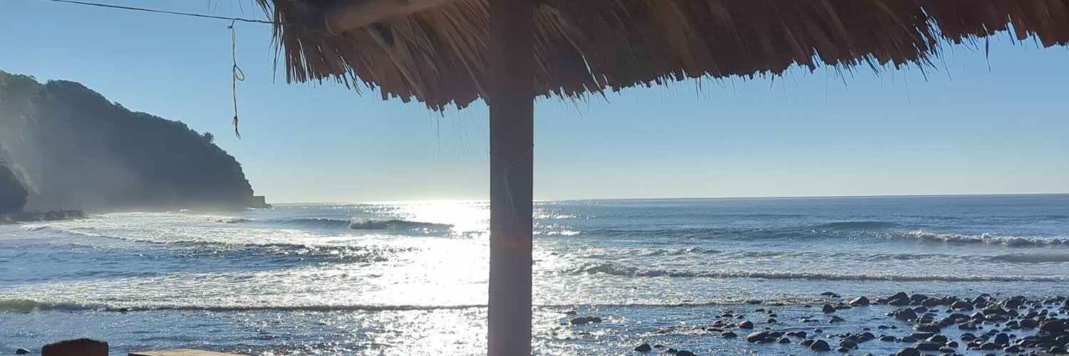 Will Mitchell banner