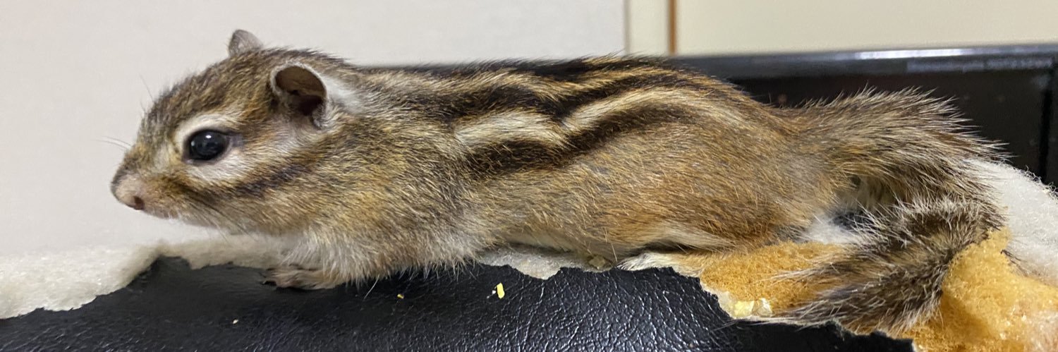 augstus（-10kg） banner