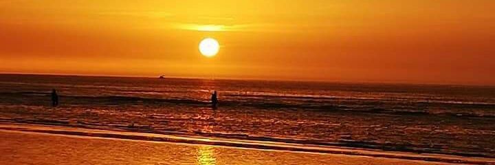 salarte's profile banner image
