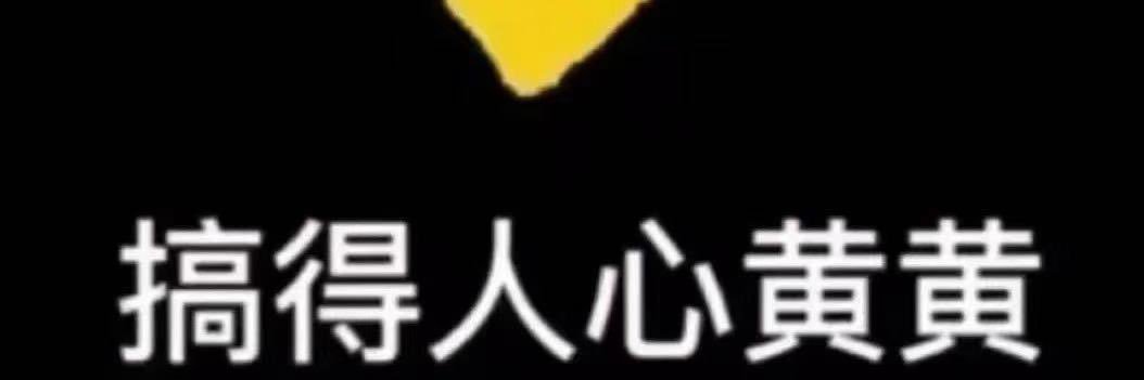 TJK 🟠PI🟣DOG banner