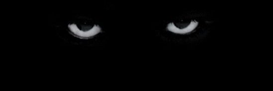 Bishop_Bees7's profile banner image