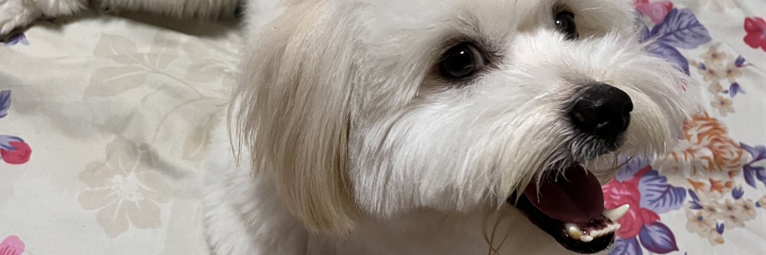 yuniscstll's profile banner image