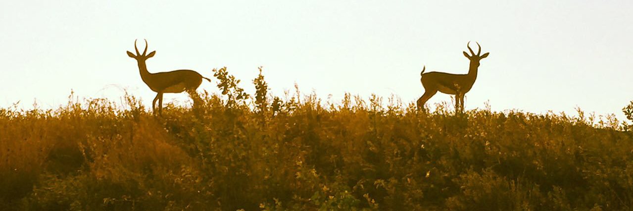 3thbah1's profile banner image